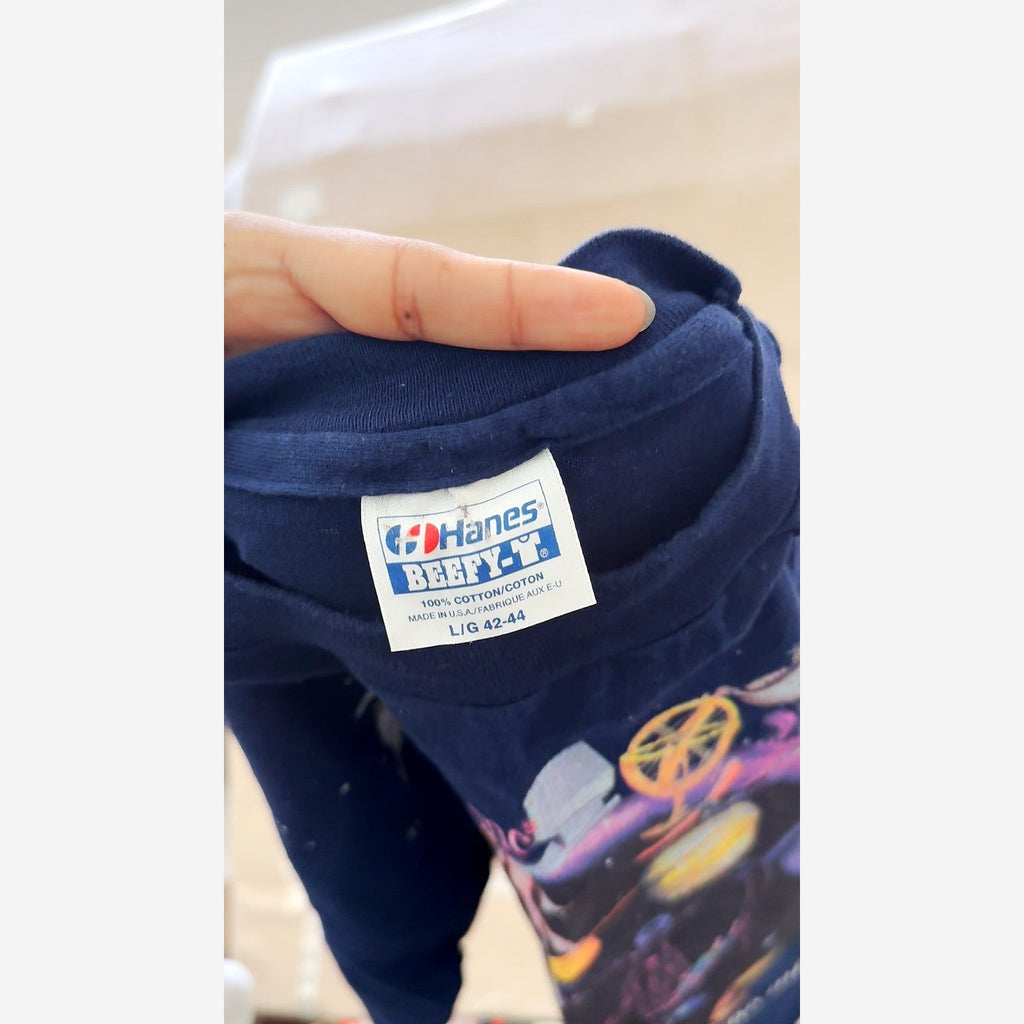 Hanes Beefy-T An Amusement Park for the Mind Graphic T-Shirt Navy Blue Size L