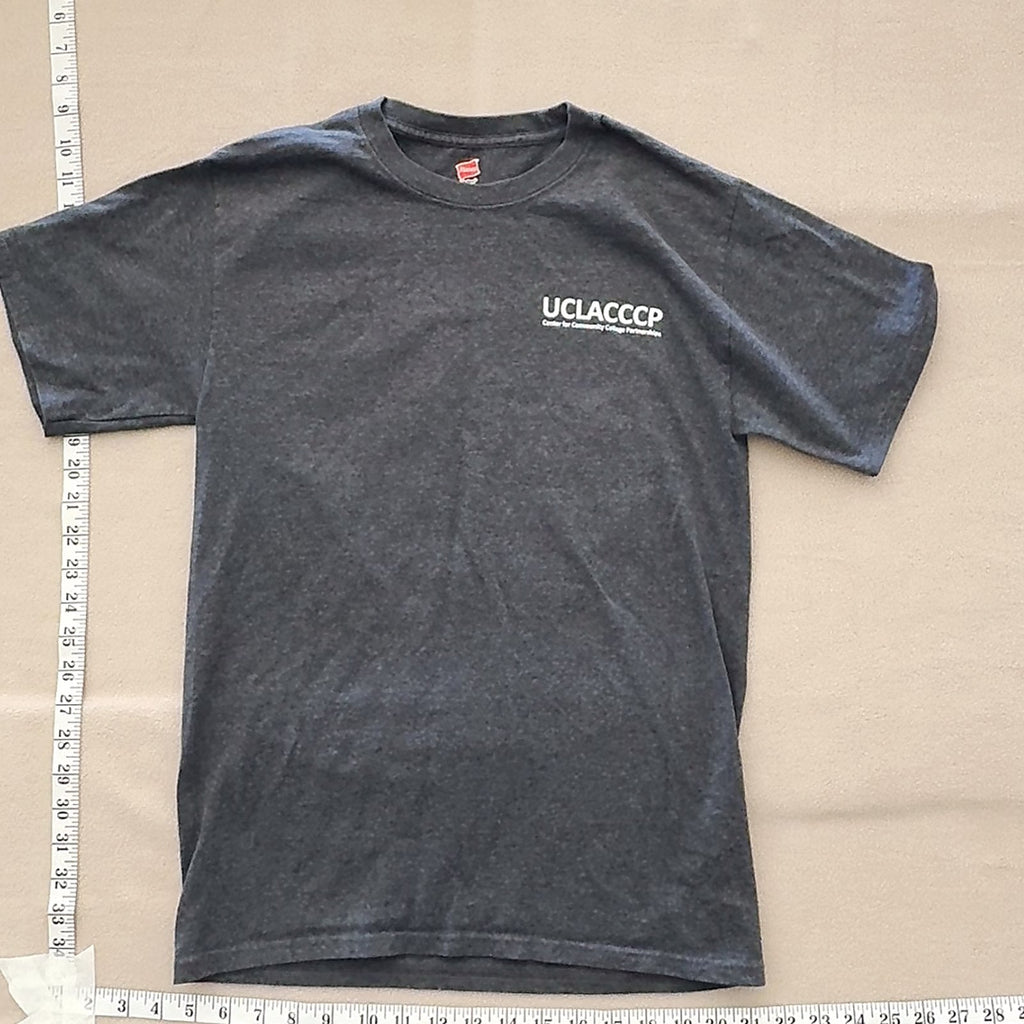 Hanes UCLA CCCP Summer 2018 Power to the Transfer Graphic T-Shirt Gray S